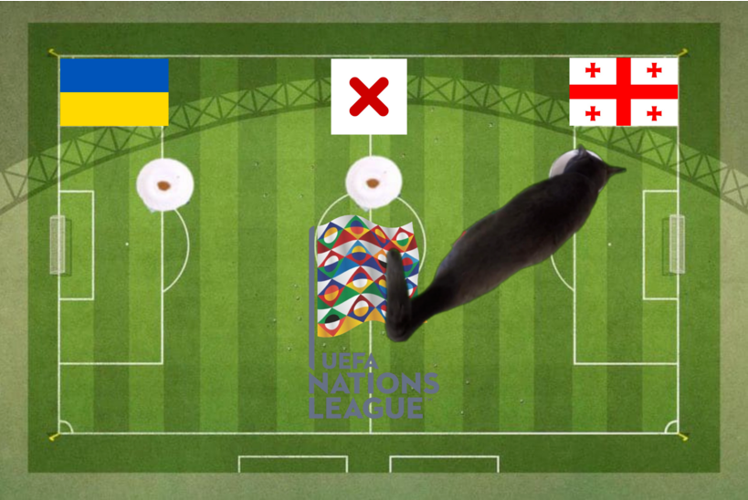 Lựa chọn của chú mèo tiên tri trước trận Ukraine vs Georgia