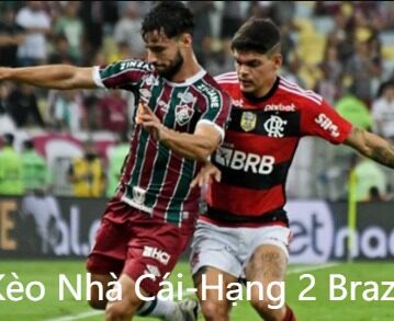 Dự Đoán Kết Quả Các Trận Đấu Hạng 2 Brazil: Soi Kèo Nhà Cái